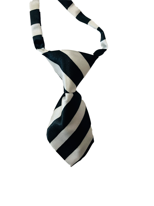 Necktie-Adjustable