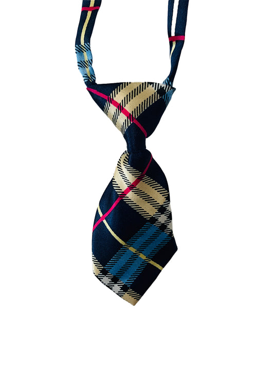 Necktie-Adjustable