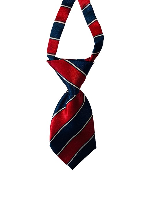 Necktie-Adjustable